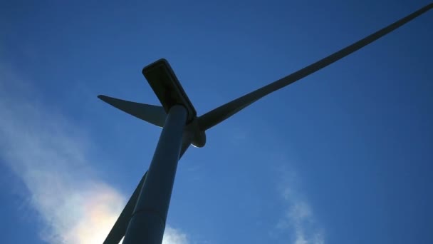 Wind turbine fältet — Stockvideo