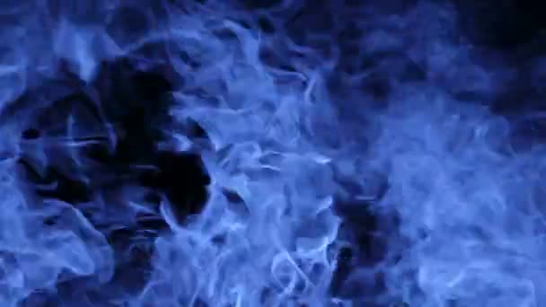 Inferno blueflames - Schlupflöcher — Stockvideo