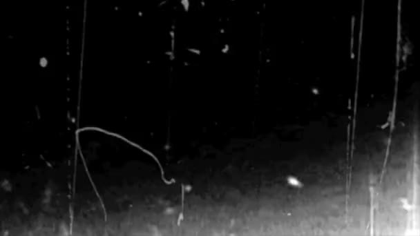 Modravý - sněhová bouře v noci — Stock video