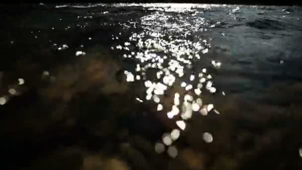 抽象的な水がちらつく — ストック動画