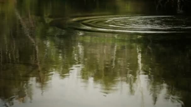 Éclaboussures d'eau — Video