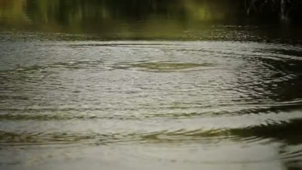 Éclaboussures d'eau — Video