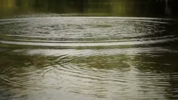 Éclaboussures d'eau — Video