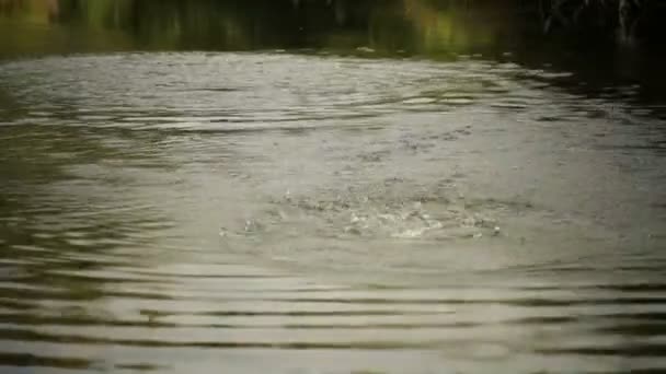 Éclaboussures d'eau — Video