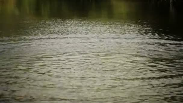 Éclaboussures d'eau — Video