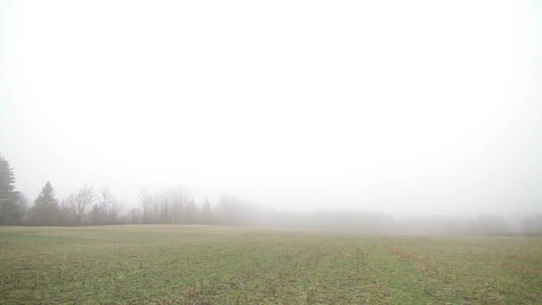 perdu dans le champ brumeux