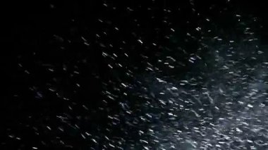 mavimsi - gece kar fırtınası