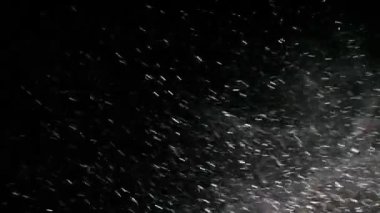 mavimsi - gece kar fırtınası