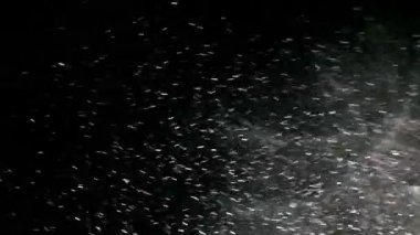 mavimsi - gece kar fırtınası