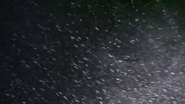 Snow Storm Night Snow Storm Night