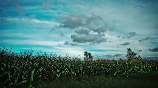 Paisagem mágica por do sol — Vídeo de Stock