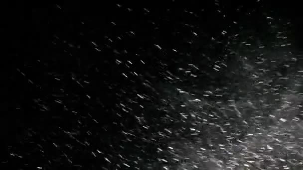 Azulado - Tormenta de nieve en la noche — Vídeo de stock