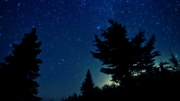 Stars time lapse are beautiful — Stock Video