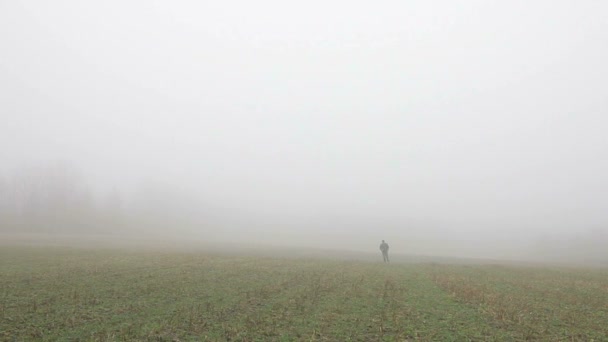 Perdido en el campo de niebla — Vídeo de stock