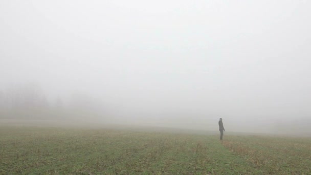 Perdido no Foggy Field — Vídeo de Stock