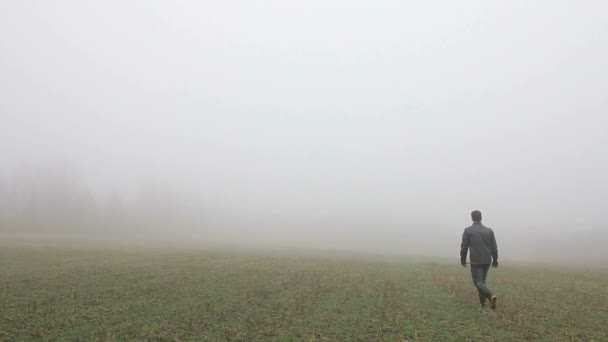 Втратили в туманний поля — стокове відео