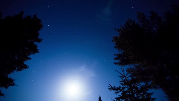 Stars time lapse are beautiful — Stock Video