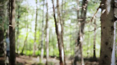 genç adam ormanda korkuttu