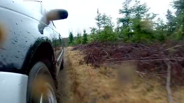 Araba süspansiyon toprak yol — Stok video