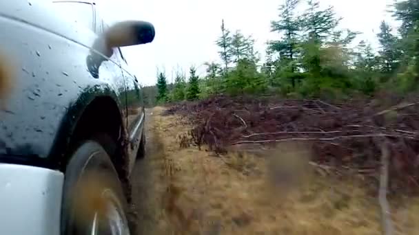 Auto Aufhängung unbefestigte Straße — Stockvideo