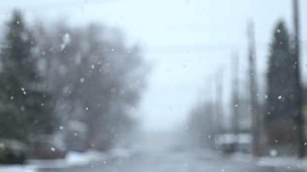 Een sneeuwstorm. — Stockvideo
