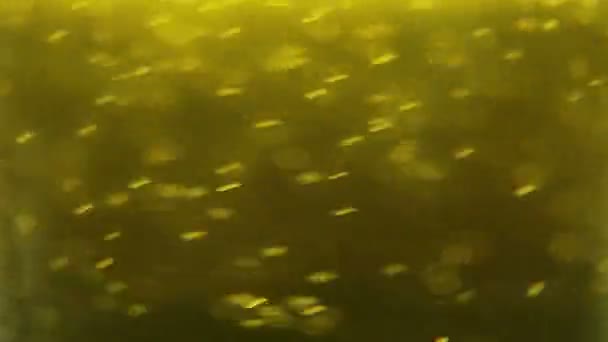 Bulles de bière foncées 