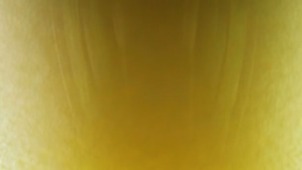 Donker bier bubbels — Stockvideo