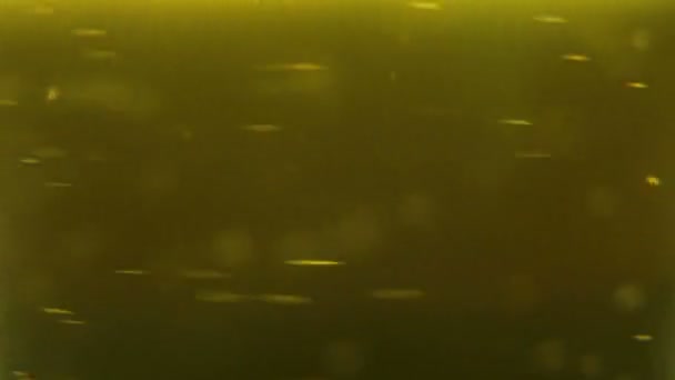 Bulles de bière foncées 