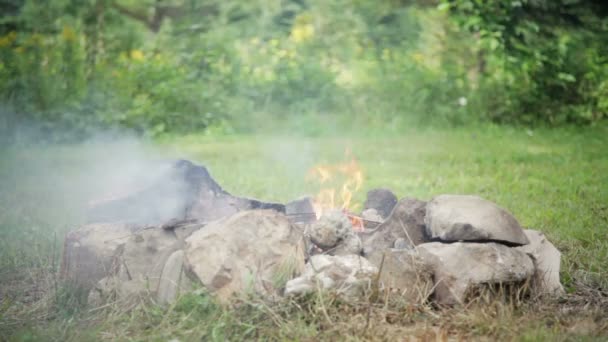 Bonfire on the nature — Stock Video