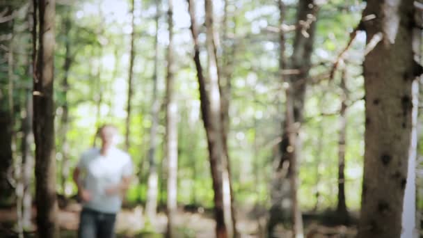 Young man running around in the woods — Stock Video