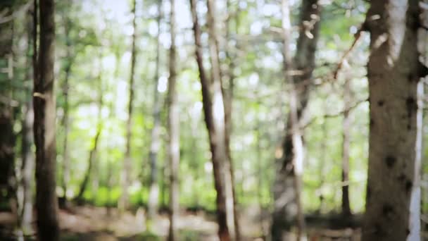 Наляканий молодий чоловік в лісі — стокове відео
