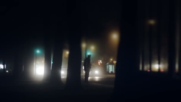 夜のシーンの道路 — ストック動画
