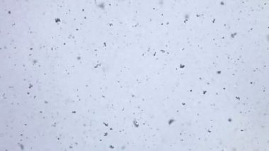 objektif üzerinde düşen kar