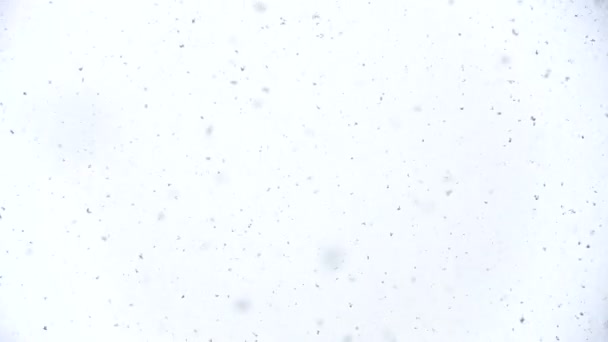 Schnee fällt auf die Linse — Stockvideo