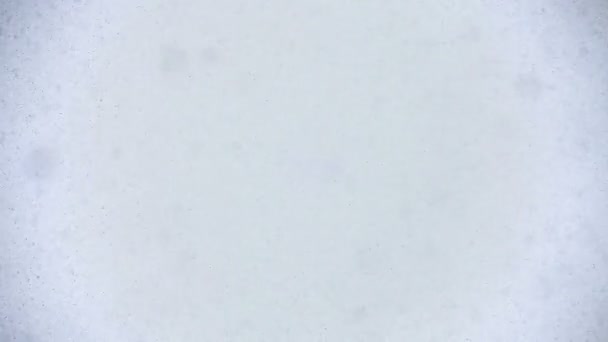 Neve caindo na lente — Vídeo de Stock
