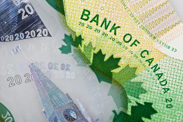 Ottawa, Canada, Avril 13, 2013, Extreme Closeup of New Polymer Twenty Dollar Bills — Stock Photo, Image