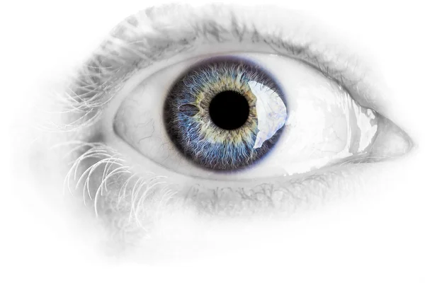 Μακροεντολή μπλε μάτι με πολλές λεπτομέρειες που απομονώνονται σε λευκό — Φωτογραφία Αρχείου