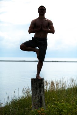 doğada kütük üzerinde yoga yaparken adam siluet