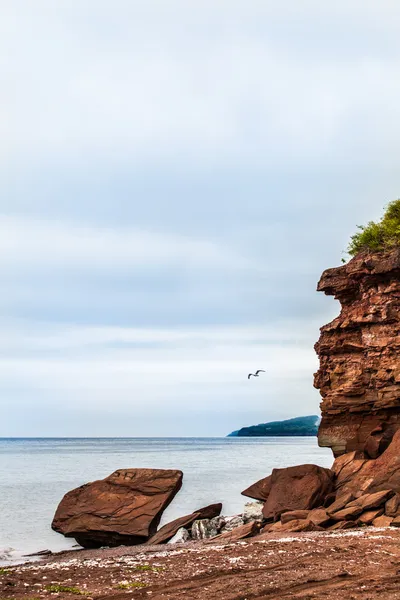 Gyönyörű táj, a szikla és a sirály elhaladó — Stock Fotó