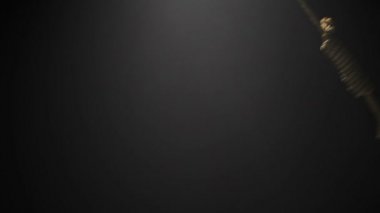 cellat ilmiği düşen