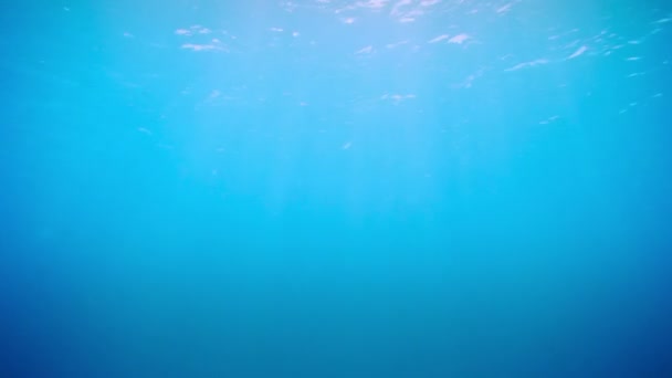 Sous l'eau