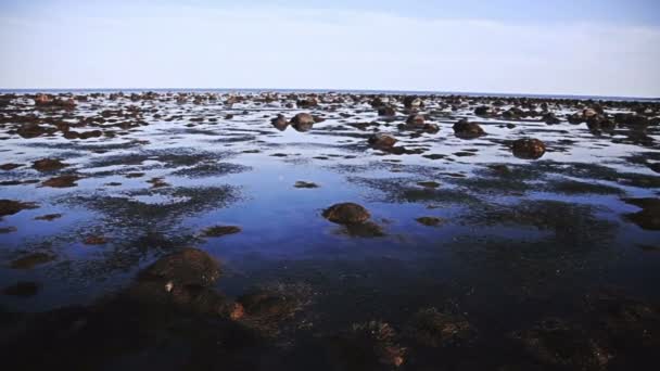 Steady Panning Video of a Low Tide — Stock Video