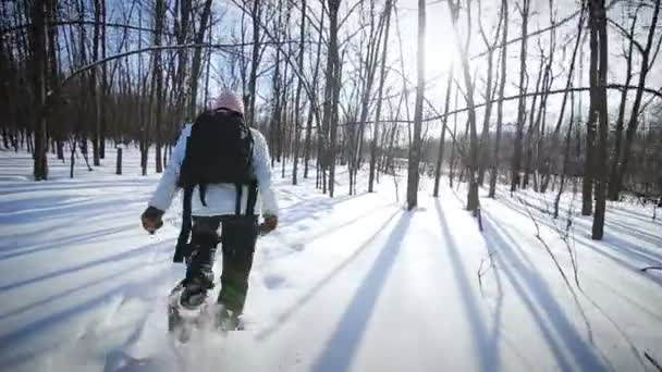 Mujer solitaria raquetas de nieve en la naturaleza en un hermoso día de invierno — Vídeos de Stock