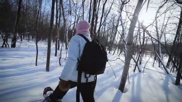 Ensam kvinna snöskor i naturen på en vacker vinterdag — Stockvideo