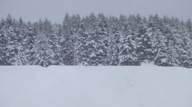 yalnız adam snowmobiling toz karda