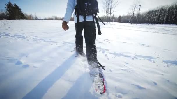 Yalnız kadın güzel kış gününde doğada snowshoeing — Stok video