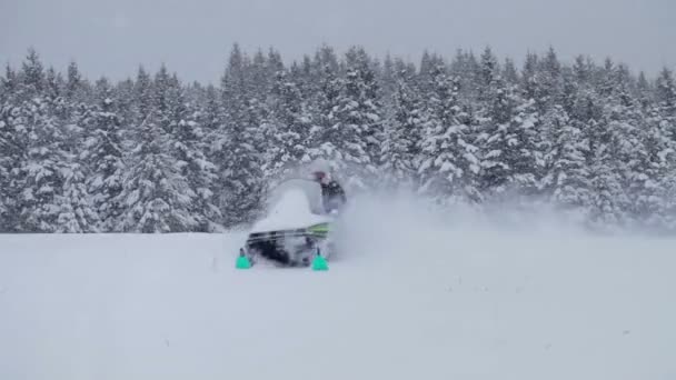 Solitaire homme motoneige dans la neige en poudre — Video