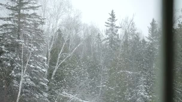 Śnieżny widok przez okno — Wideo stockowe