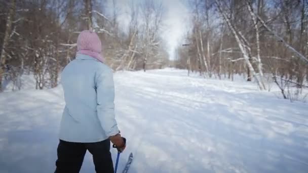 Катание на лыжах по пересеченной местности — стоковое видео