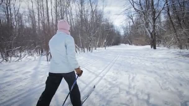 Mujer esquí de fondo — Vídeo de stock